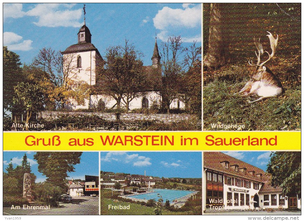 WARSTEIN-GRUSS - Warstein