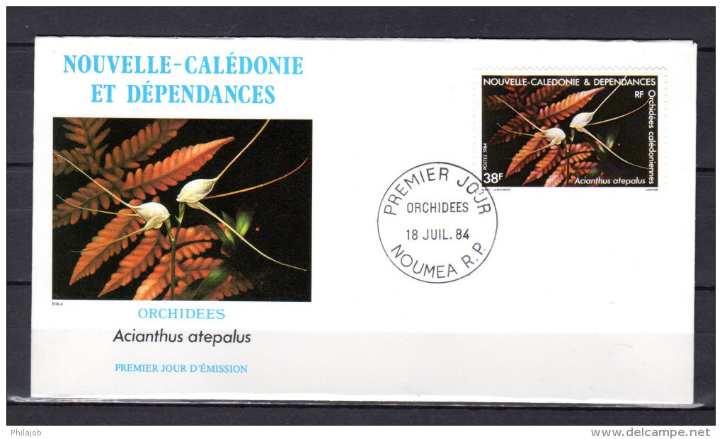 &#9989;" ORCHIDEES CALEDONIENNES : ACIANTHUS ATEPALUS "  Sur Enveloppe 1er Jour NOUVELLE CALEDONIEde 1984 N°YT 489. FDC - Orchidées