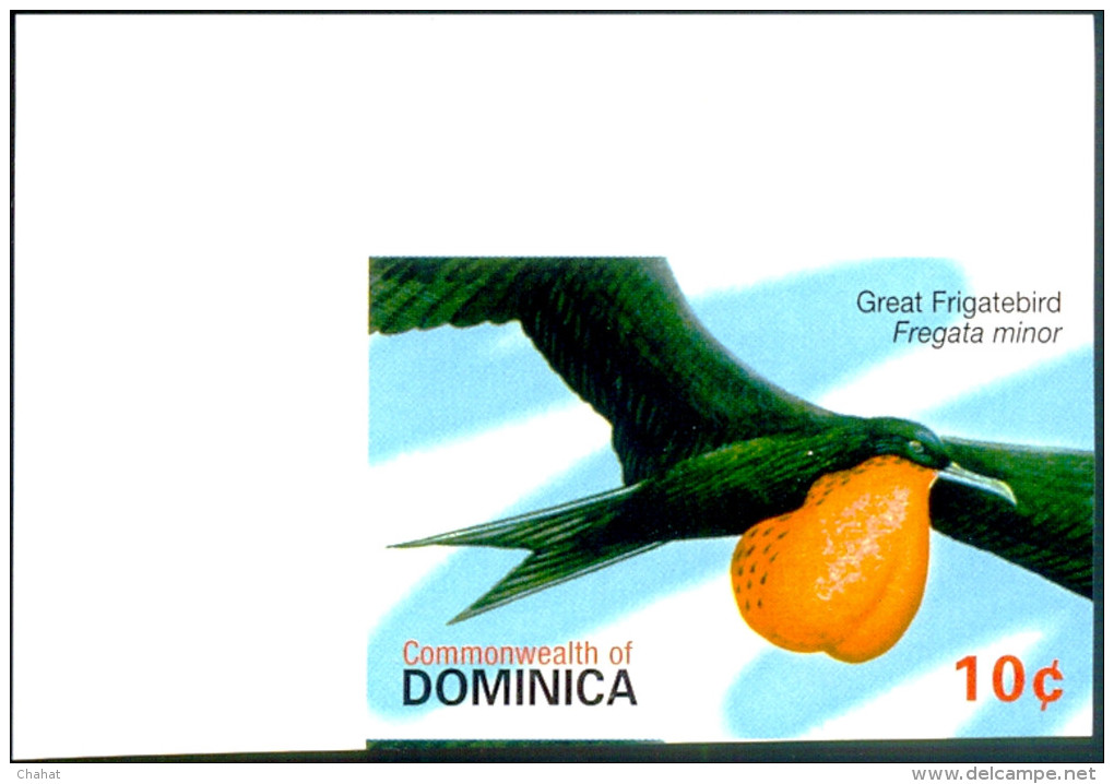 MARINE BIRDS-GREAT FRIGATE BIRD-DOMINICA-2007-IMPERF-MNH-SCARCE-TP-632 - Albatrosse & Sturmvögel