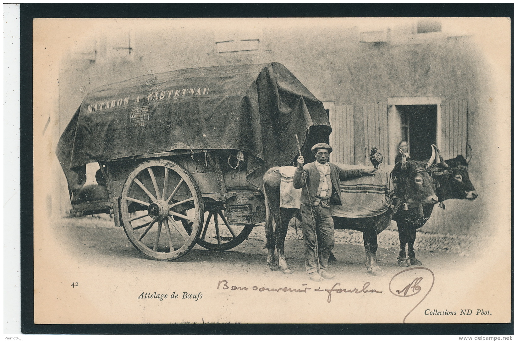 LANDES - Attelage De Boeufs (avec Bâche "MATABOS A CASTETNAU ") Postée à MONT DE MARSAN En 1906 - Altri & Non Classificati