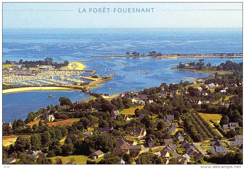 CPM  La Foret Fouesnant - La Forêt-Fouesnant