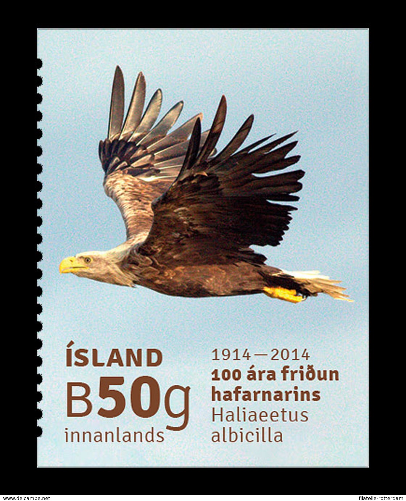 IJsland / Iceland - Postfris / MNH - Adelaar 2014 - Ungebraucht