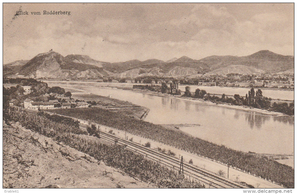 CPA BLICK VOM RODDERBERG - Rheingau