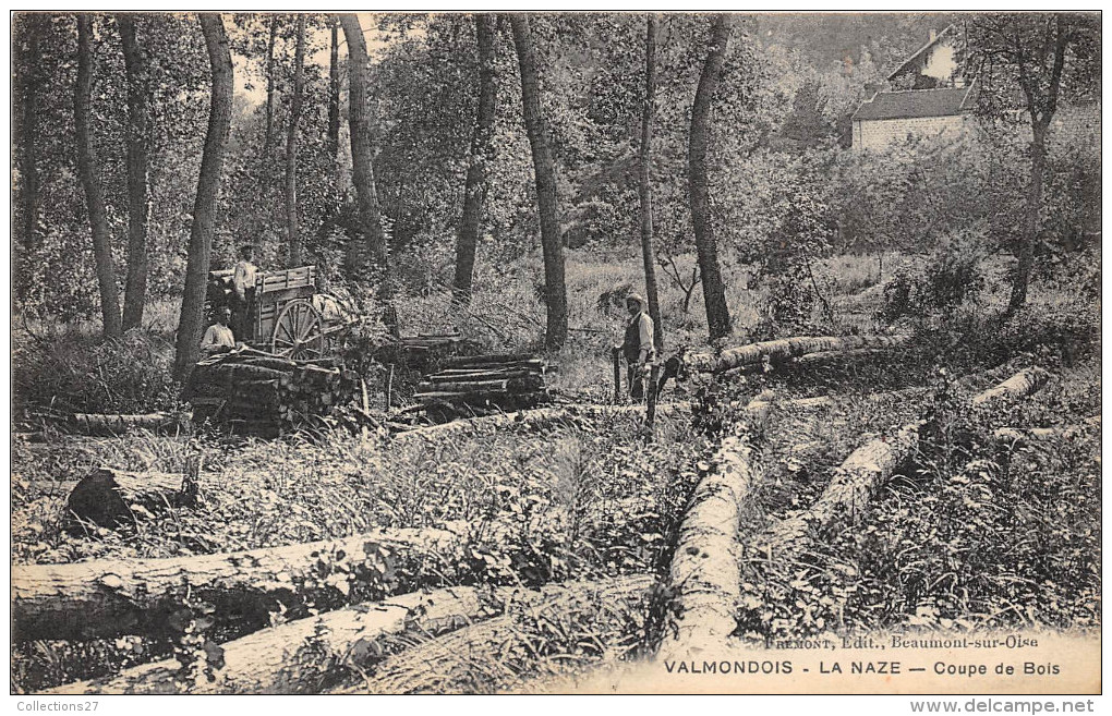 95-VALMONDOIS- LA NAZE - COUPE DE BOIS - Valmondois