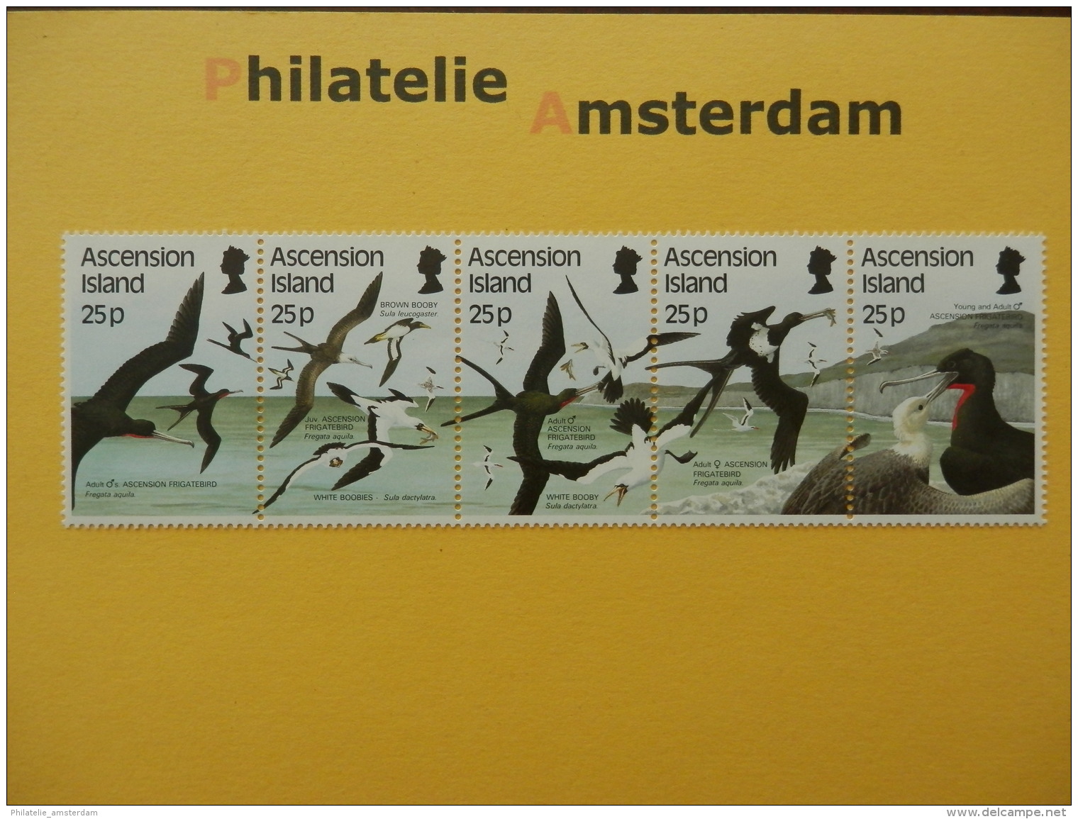 Ascension 1987, FAUNA BIRDS OISEAUX VOGELS VÖGEL AVES: Mi 443-47, ** - Sonstige & Ohne Zuordnung