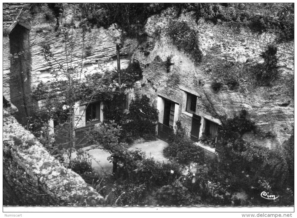 Douces.. Doué-la-Fontaine Les Caves - Autres & Non Classés