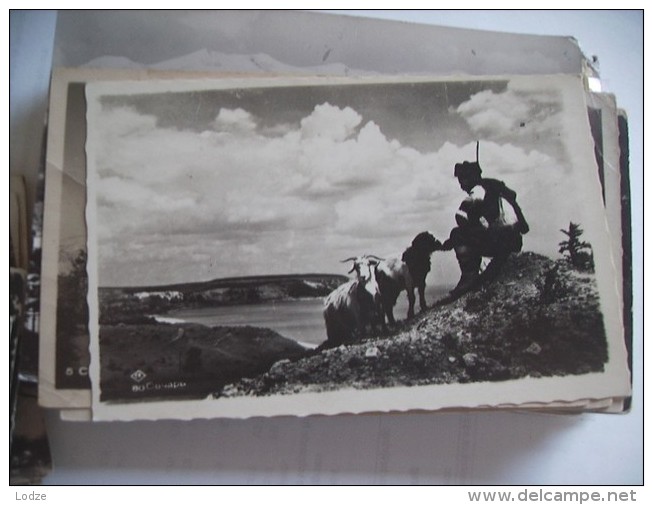 Bulgarije Bulgarien Man With Goats In Mountains - Bulgarije