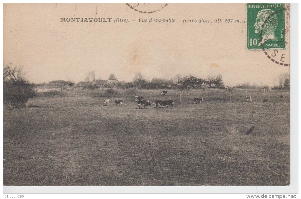 CPA Montjavoult - Vue D´ensemble (avec Troupeau De Vaches) - Montjavoult