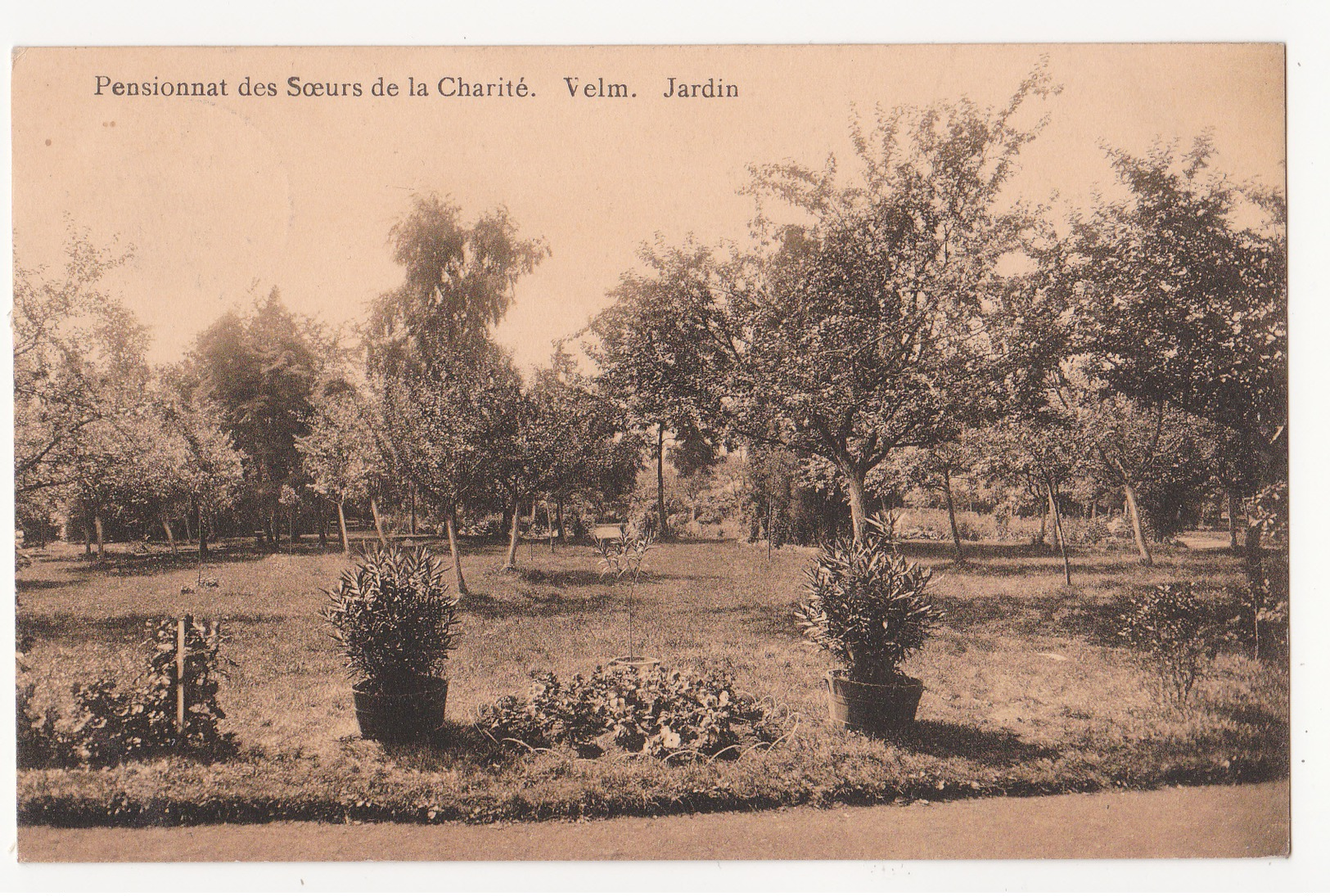 Velm: Pensionnat Des Soeurs De La Charité: Jardin. - Sint-Truiden