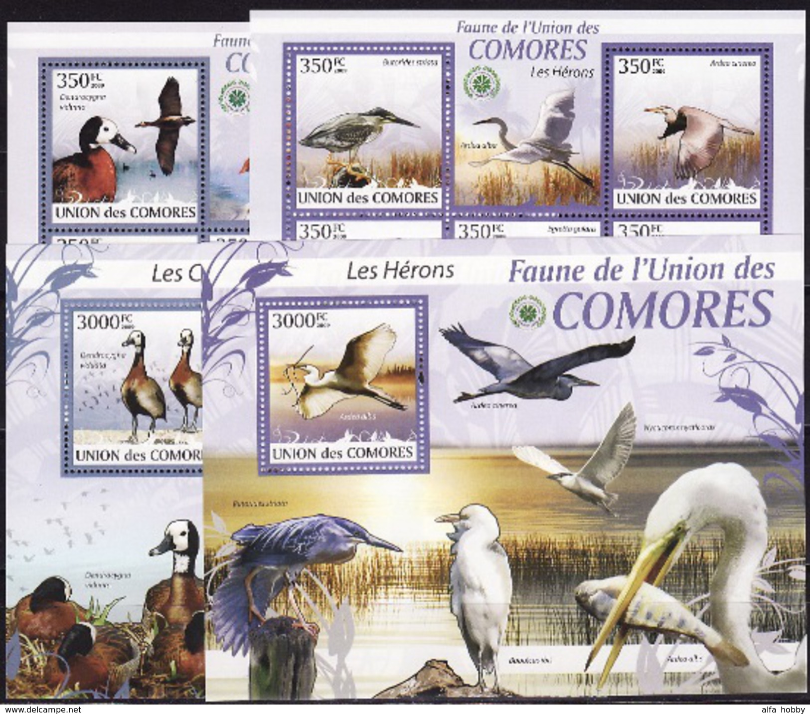 Comores Birds 2009 13 Blocks And 13 Sheetlets Minisheets - Autres & Non Classés