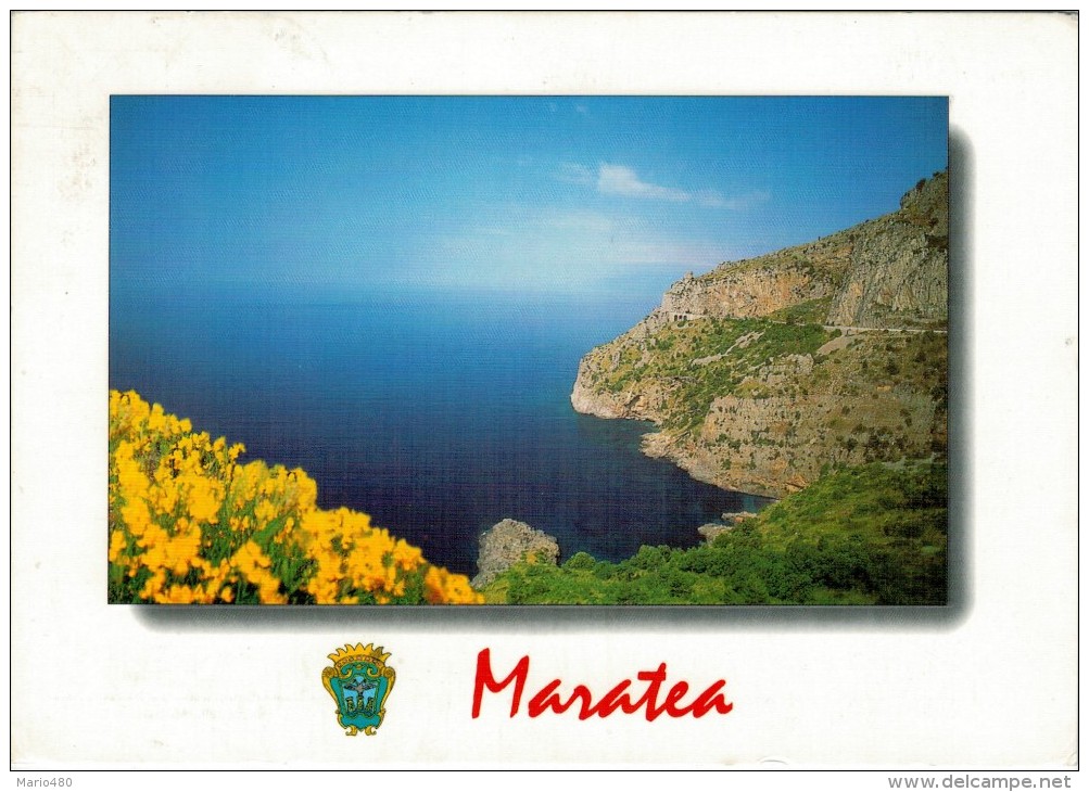 MARATEA  (POTENZA)   UN  TRATTO  DI  COSTA      MAXICARD  (VIAGGIATA) - Altri & Non Classificati