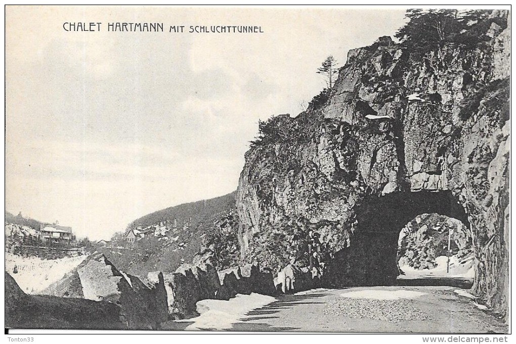 DEPT 88 - Chalet HARTMANN Mit SCHLUCHTTUNNEL - ENCH - - Autres & Non Classés