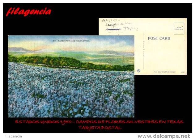 PIEZAS. ESTADOS UNIDOS. ENTEROS POSTALES. TARJETA POSTAL 1950. CAMPOS DE FLORES SILVESTRES EN TEXAS - Autres & Non Classés