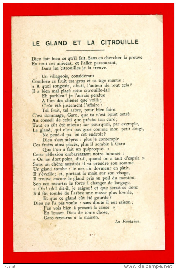 Chromo Sans Publicité Lith. Vieillemard, Fables La Fontaine, Le Gland & La Citrouille - Louit