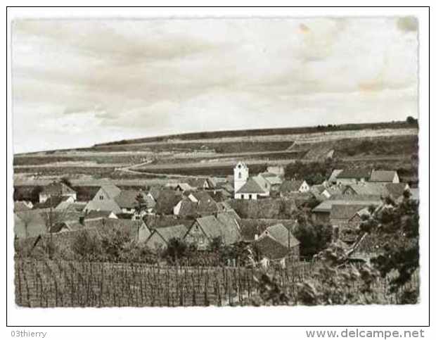 CPSM ALLEMAGNE WEINORT LEISELHEIM A. KAISERSTUHL - Autres & Non Classés