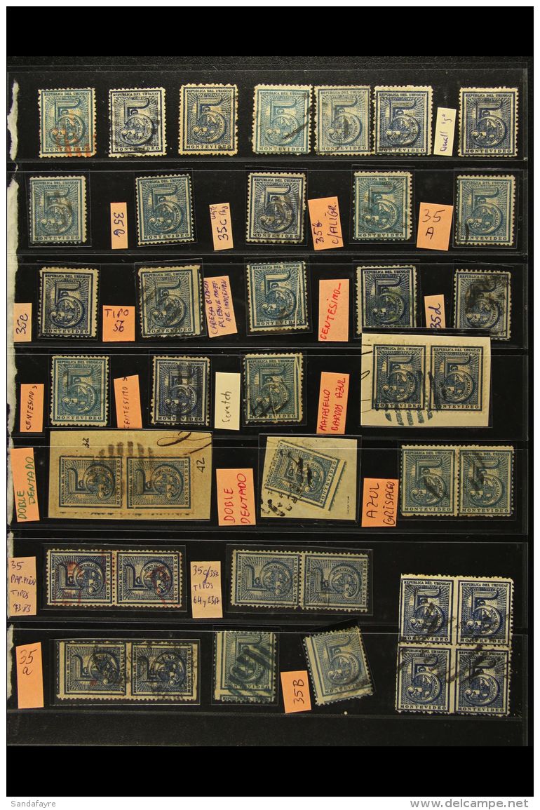 1866-67 PERF NUMERAL TYPES. FINE USED SPECIALIST'S COLLECTION/ACCUMULATION On Stock Pages With Many Shades,... - Uruguay