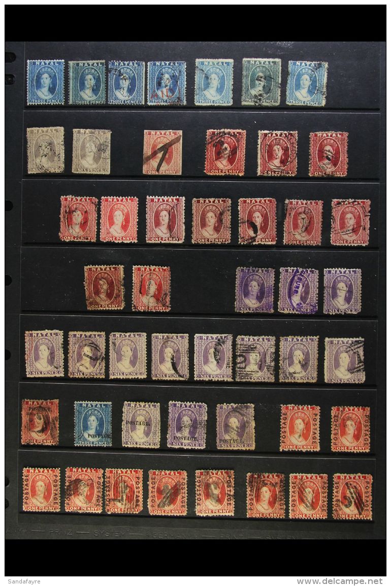 NATAL 1861-1895 CHALON HOARD. A Chiefly Used Range On A Pair Of Stock Pages With 1859-1865 Range (x30+) To 6d's, ... - Non Classificati