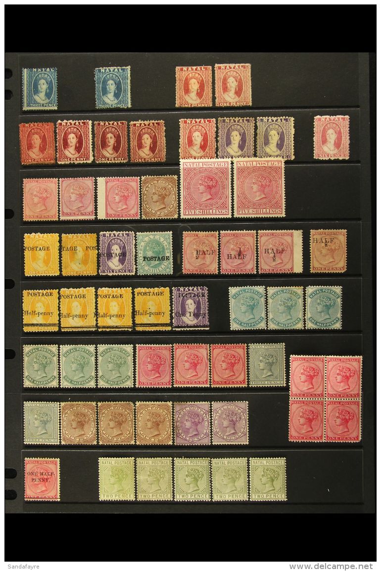 NATAL 1859-1908 MINT/UNUSED COLLECTION On Stock Pages, Most QV Issues With Or Without Gum, Includes The 1859-60... - Unclassified