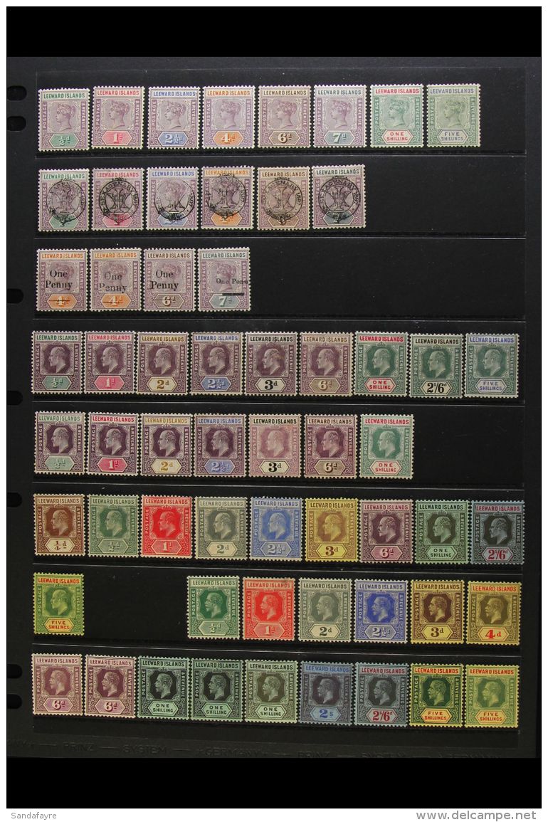 1890-1954 COMPREHENSIVE FINE MINT COLLECTION On Stock Pages, All Different, Almost COMPLETE For The Period, Inc... - Leeward  Islands