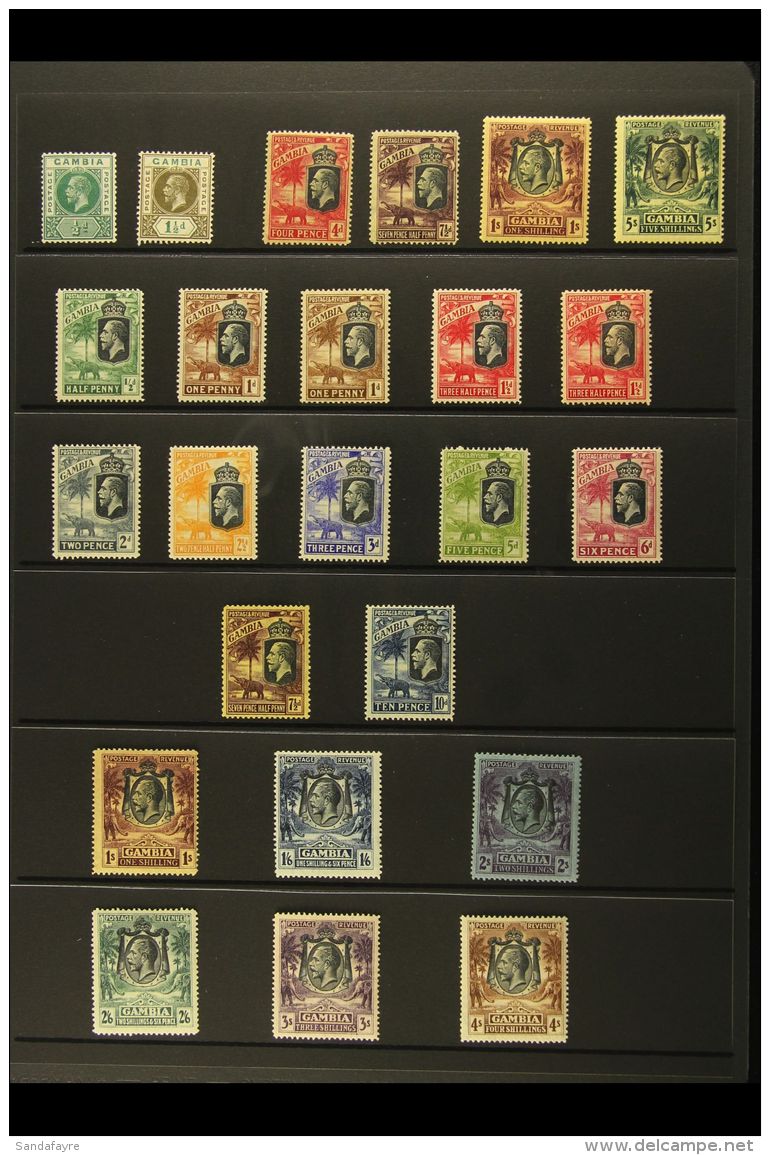 1912-29 MINT KGV SELECTION On A Stock Page. Includes 1922-29 CA Wmk Set &amp; Multi Script Wmk Range To 4s. Clean... - Gambia (...-1964)