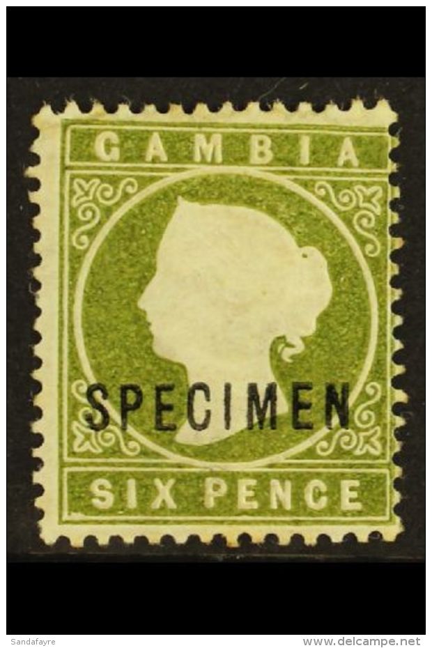 1886-93 6d Yellowish Olive-green Overprinted "SPECIMEN" Additionally With The SLOPING LABEL Variety, SG 32as,... - Gambia (...-1964)