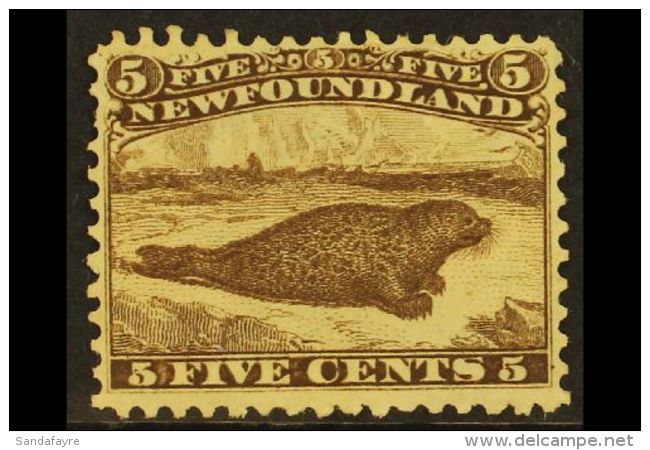 1865-70 5c Brown Perf 12, SG 26, Unused No Gum With Very Fine Centering, One Short Perf At Left. Impressive, Cat... - Other & Unclassified