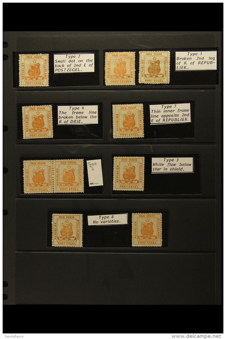 STELLALAND 1884 3D ORANGE GROUP Of 10 Mint Stamps (incl Pair) Each Identified By Type With Helpful Identification... - Other & Unclassified