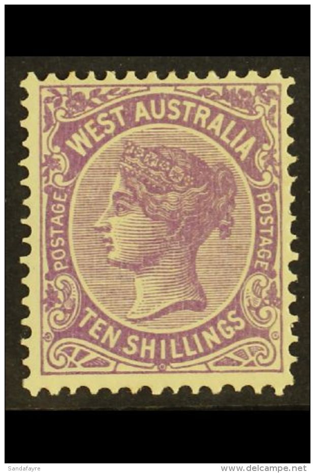 WESTERN AUSTRALIA 1902-11 10s Deep Mauve, SG 127, Very Fine Mint. For More Images, Please Visit... - Altri & Non Classificati