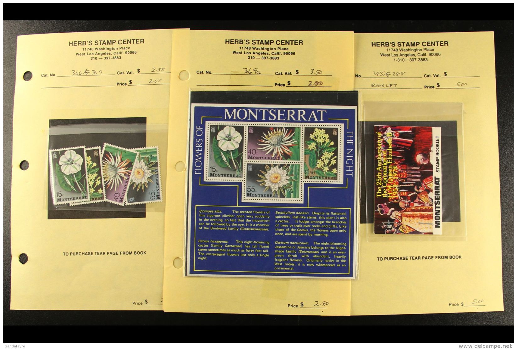 LEEWARD ISLANDS AREA 1970's And 1980's Never Hinged Mint Assembly On Dealers Pages In Four Volumes, Mostly Issues... - Other & Unclassified