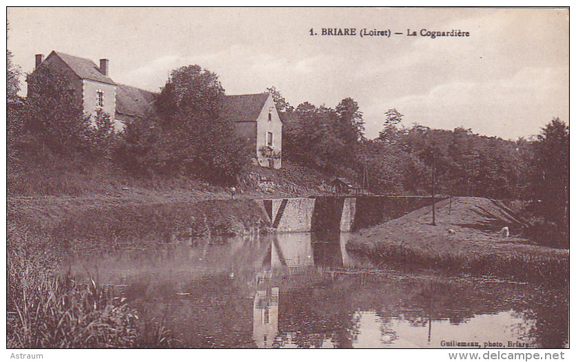 Cpa-45-briare -la Cognardiere-edi Guillemeau N°1 - Briare