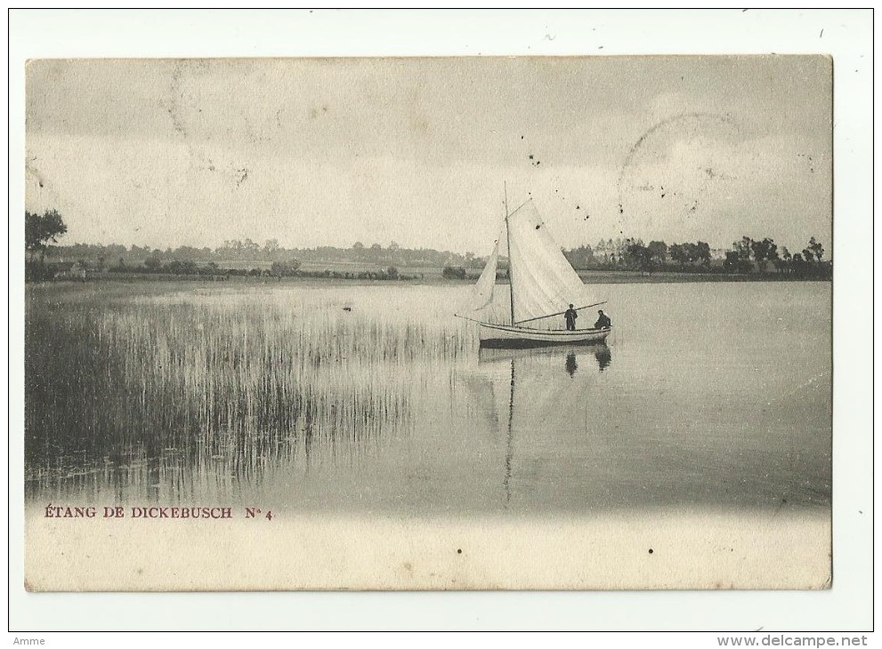 Dikkebus - Ieper   *  Etang De Dickebusch - Ieper