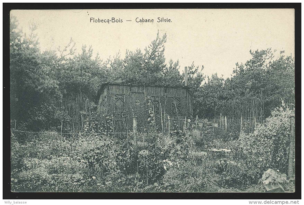 G. CPA - FLOBECQ BOIS - Cabane Silvie    // - Vloesberg