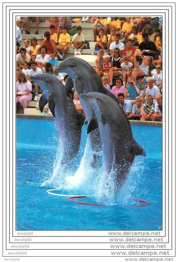 MARINELAND CATALUNYA MALGRAT DE MAR DAUPHINS - Dauphins