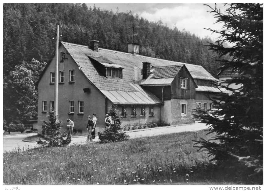 CPSM - REHEFELD / ERZGEB. (Allemagne-Saxe) - Betriebsferienheim - Grafischer Grossbetrieb Völkerfreundschaft In 1955 - Rehefeld