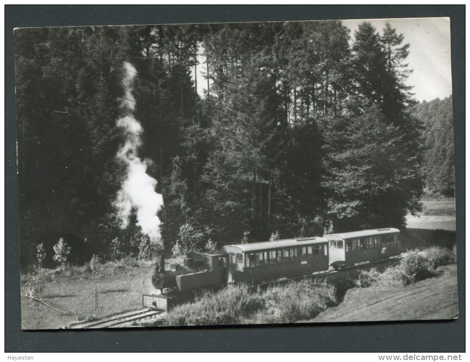 CHEMIN DE FER FORESTIER D'ABRESCHVILLER -LOCOMOTIVE MALLET HEILBRONN 1911 - Other & Unclassified