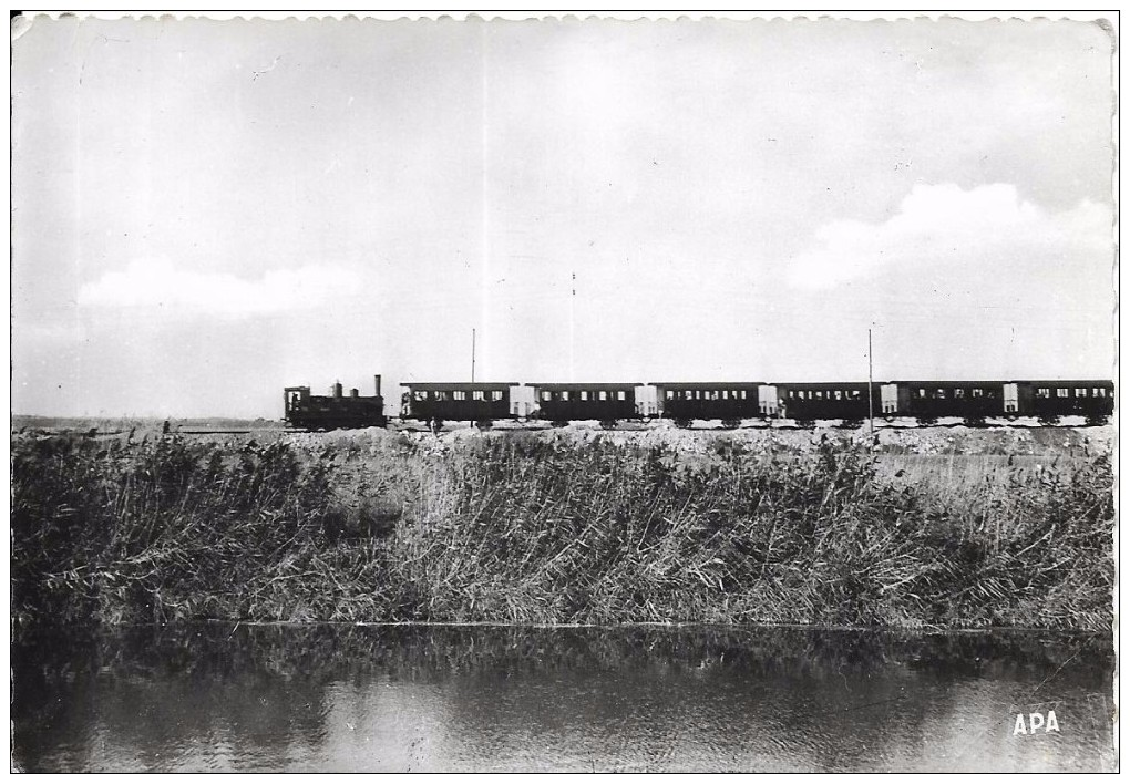 PALAVAS LES FLOTS (Hérault) - Le Petit Train Palavas-Montpellier (1104) - Palavas Les Flots