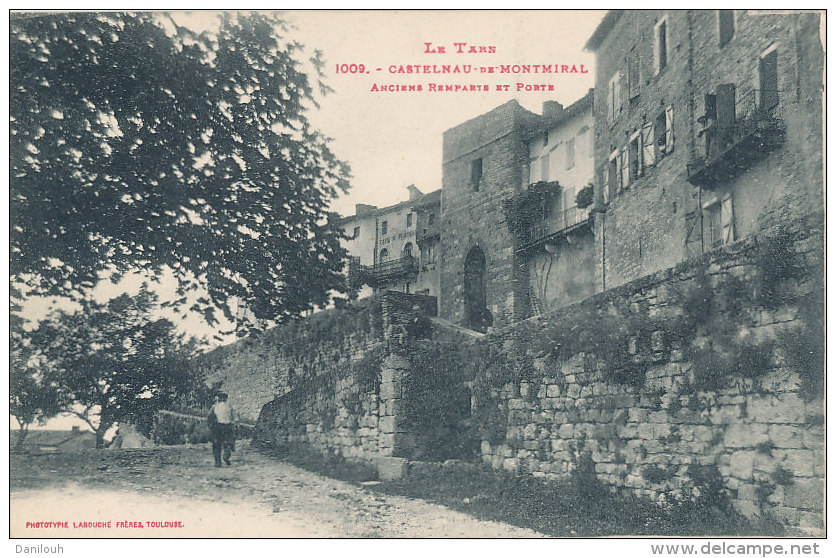 81 // CASTELNAU DE MONTMIRAL    Anciens Remparts Et Porte  1009 - Castelnau De Montmirail