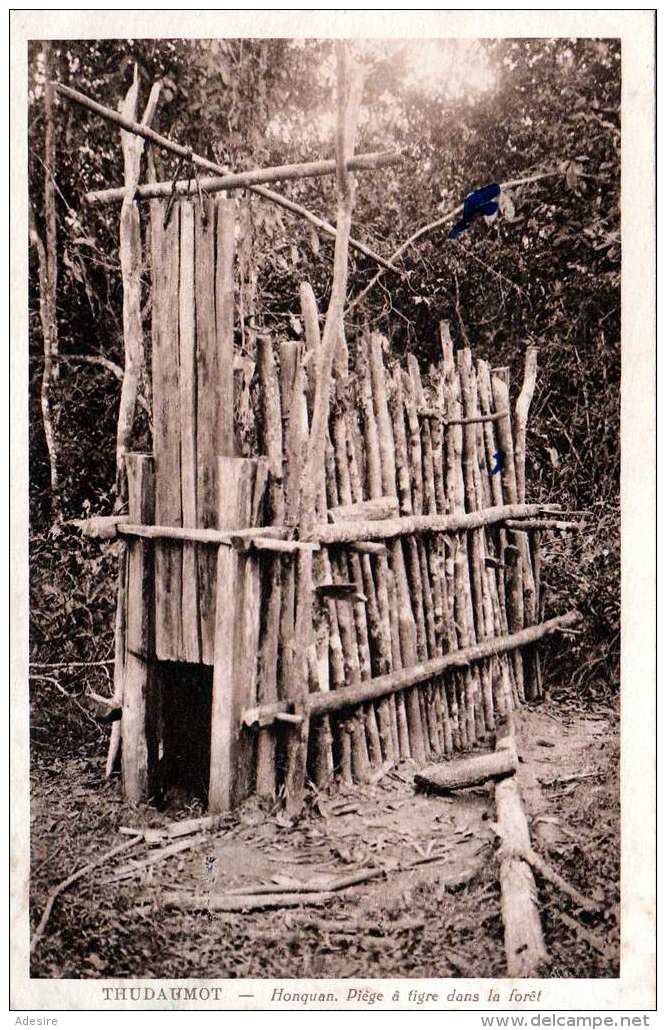 TRUDAUMOT (Vietnam), Honquan, Piège A Tigre Dans La Forèt, Tigerfalle, Fotokarte Nicht Gelaufen 1929 - Vietnam