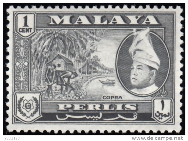 MALAYA Perlis - Scott #29 Raja Syed Putra / Mint H Stamp - Perlis