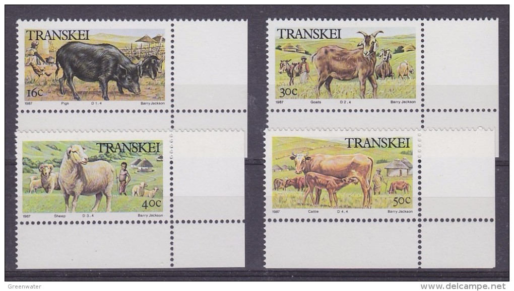 Transkei 1987 Domestic Animals / Cattle  4v (corner) ** Mnh (32186) - Transkei