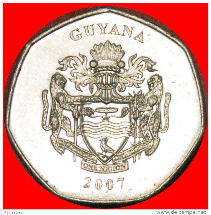 § GREAT BRITAIN: GUYANA &#9733; GOLD HEPTAGONAL 10 DOLLARS 2007 MINT LUSTER! LOW START &#9733; NO RESERVE! - Guyana