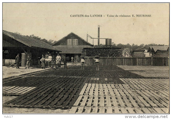 40 CASTETS USINE DE RESINEUX NEURISSE - Castets