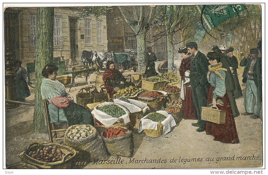 Marchandes De Legumes  à Marseille Marché Central Couleur Edit LVC - Marchands