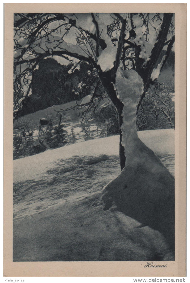 Luzein - Heimat - Landschaft Im Winter En Hiver - Photo: D. Mischol No. 24/3277 - Luzein