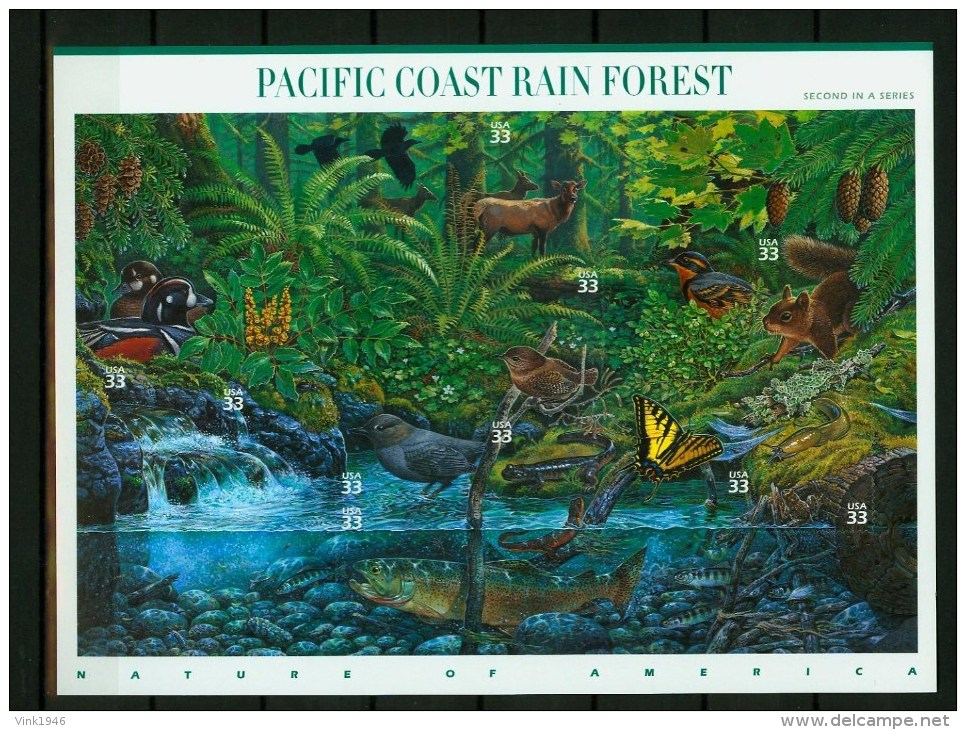 USA United States 2000,10V In Sheetlet,birds,vogels,ois Eaux,vögel,Pacific Coast Rain Forest,MNH/Postfris, (L2565) - Autres & Non Classés