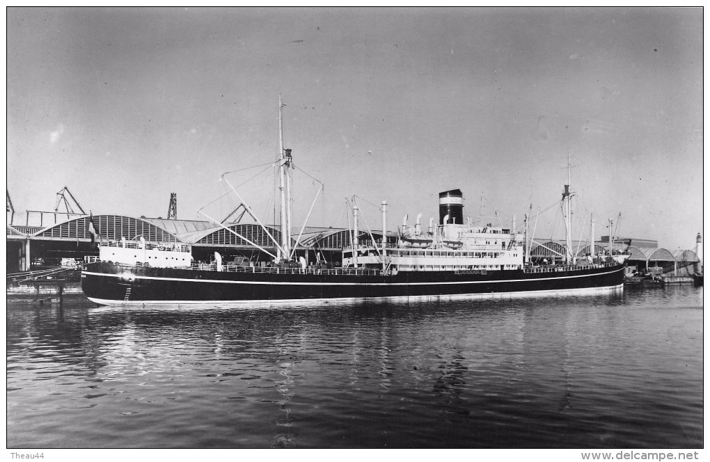 Cliché Du Bateau De Commerce De La Compagnie " L.D. "  " FRANCOIS  ?? " Louis Drefus   -  Cargo  -  Voir Description - Commerce