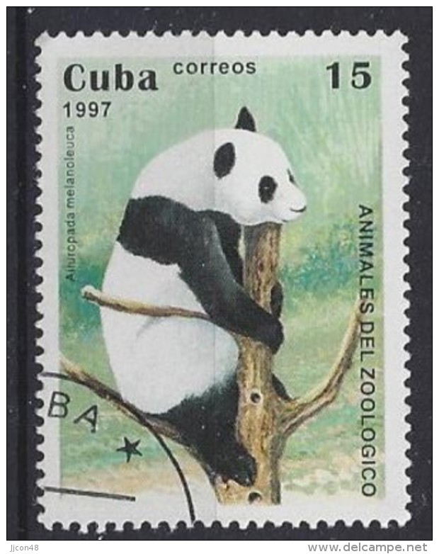 Cuba  1997  Zoo Animals (o) Panda - Used Stamps