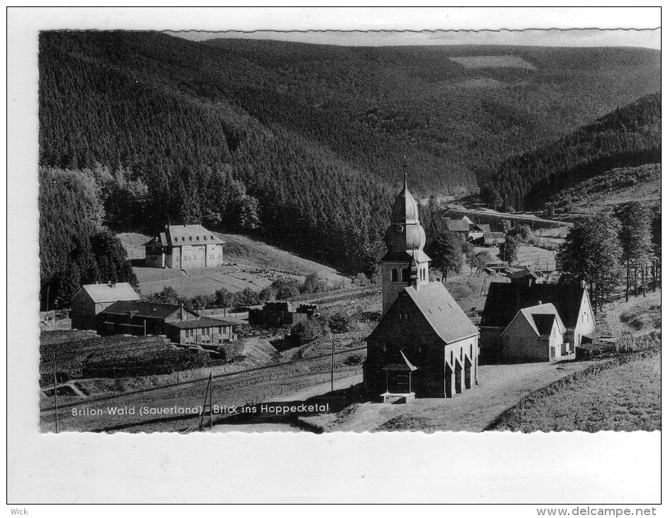 AK Brilon Bei Arnsberg, Marsberg, Paderborn, Fredeburg  -BRILON-WALD /SAUERLAND -BLICK INS HOPPECKETAL -selten !!! - Brilon