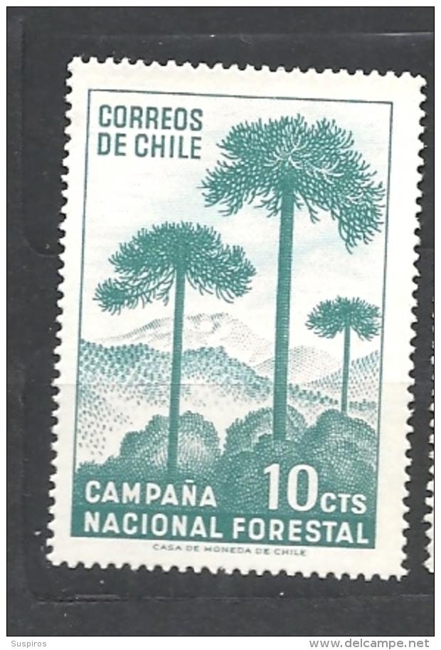 CILE   ( CHILE)  - 1967 National Afforestation Campaign 646 MNH   - Araucaria Araucana - Chile