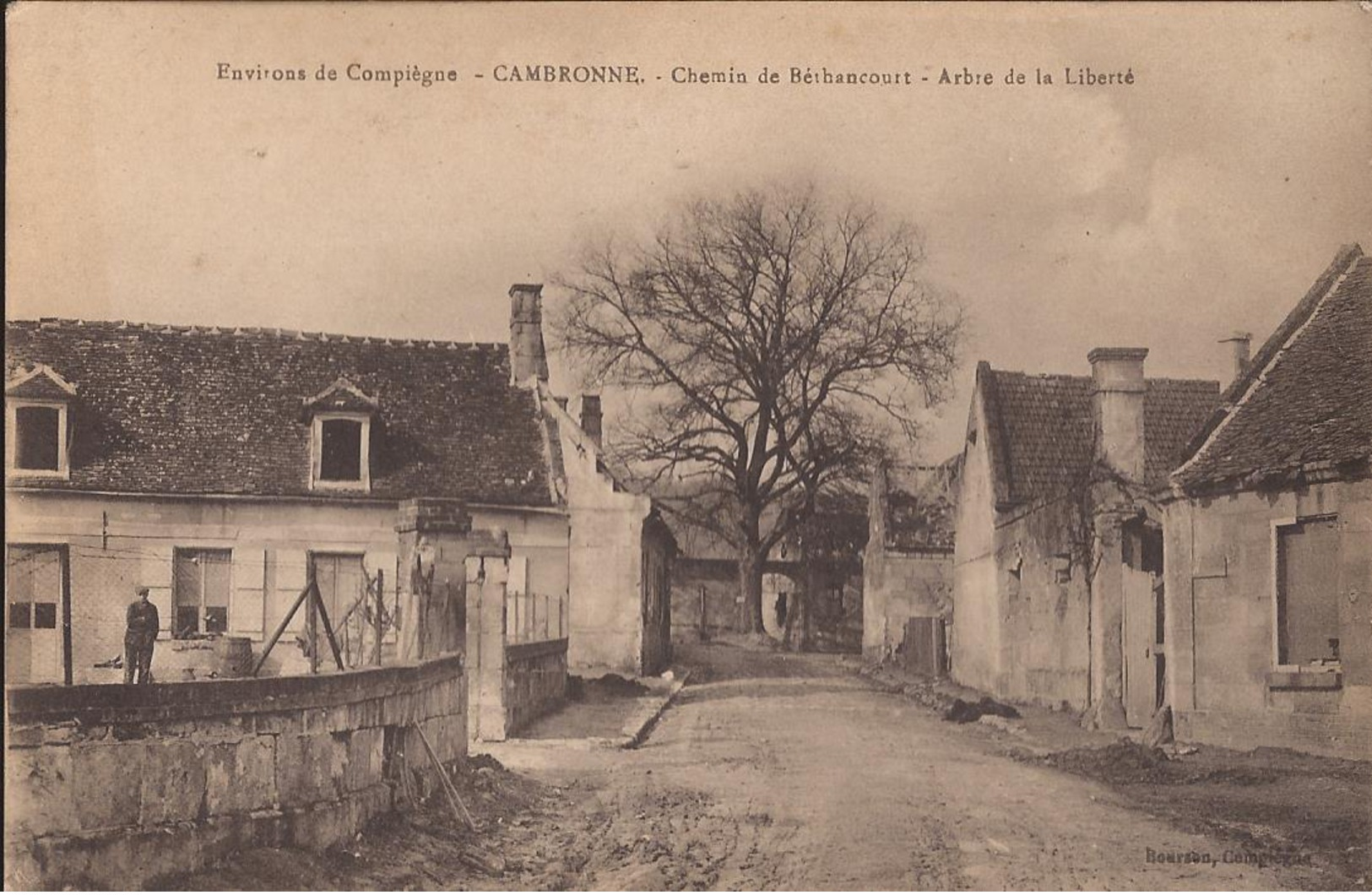 (Oise) Cambronne - 60 - (Environ De Compiègne) Chemin De Béthancourt, Arbre De La Liberté - Autres & Non Classés